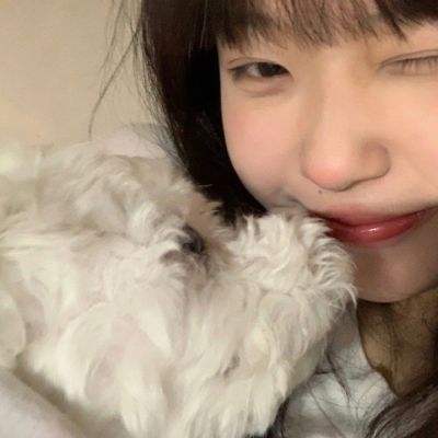 逍遥传世私服下载
